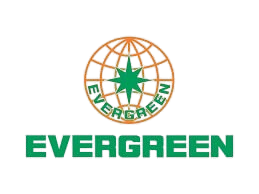 logo_ever-removebg-preview (1)